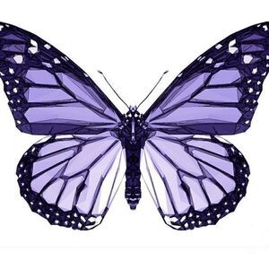 Meet Your Posher Vanessa